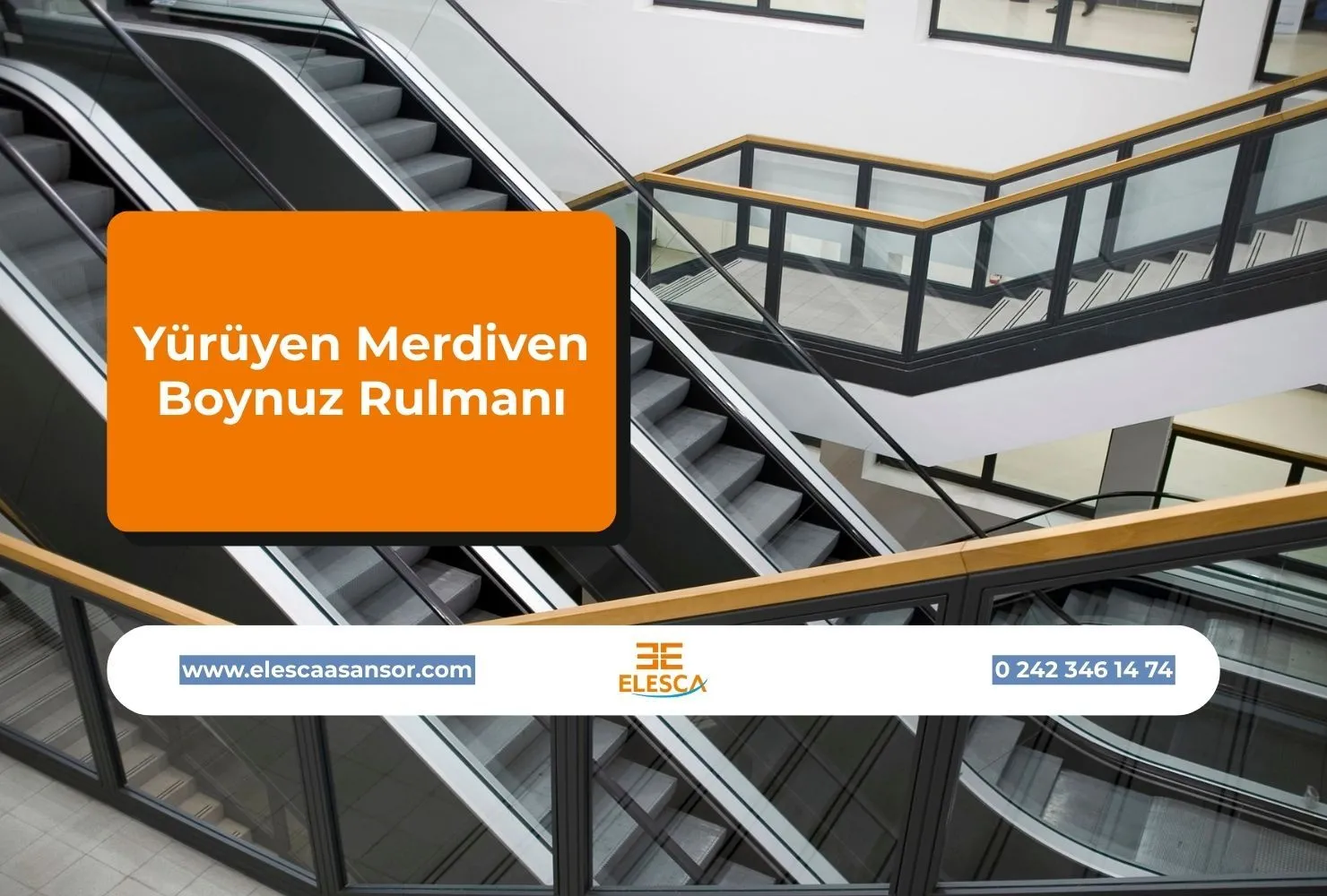 Yürüyen Merdiven Boynuz Rulmanı