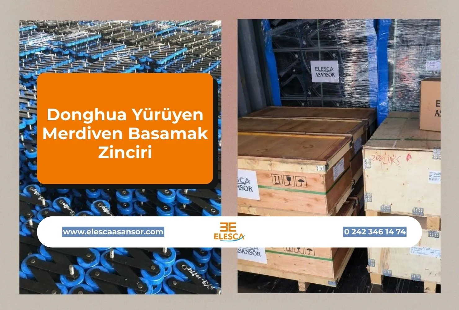 Donghua Yürüyen Merdiven Basamak Zinciri