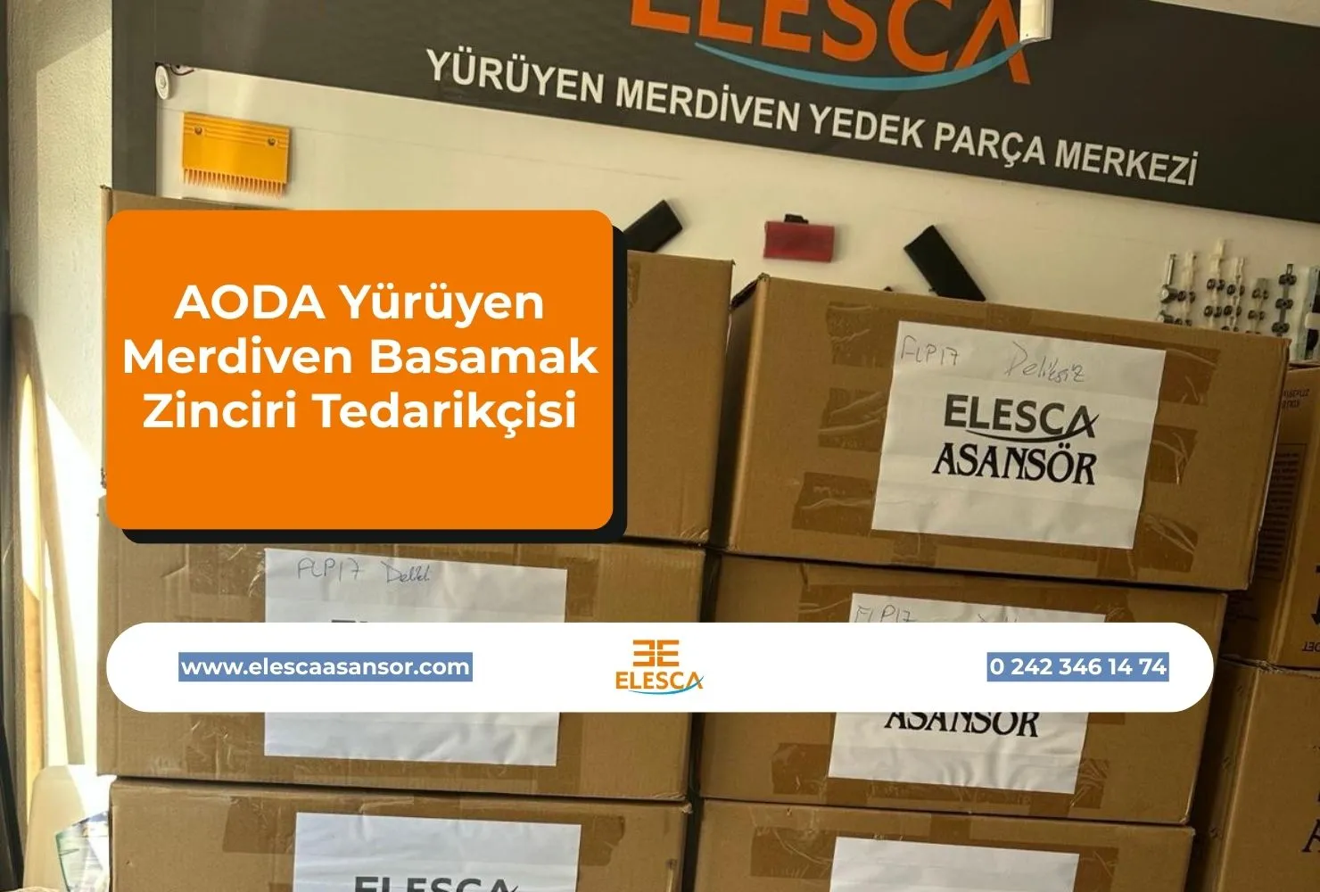 AODA Yürüyen Merdiven Basamak Zinciri Tedarikçisi