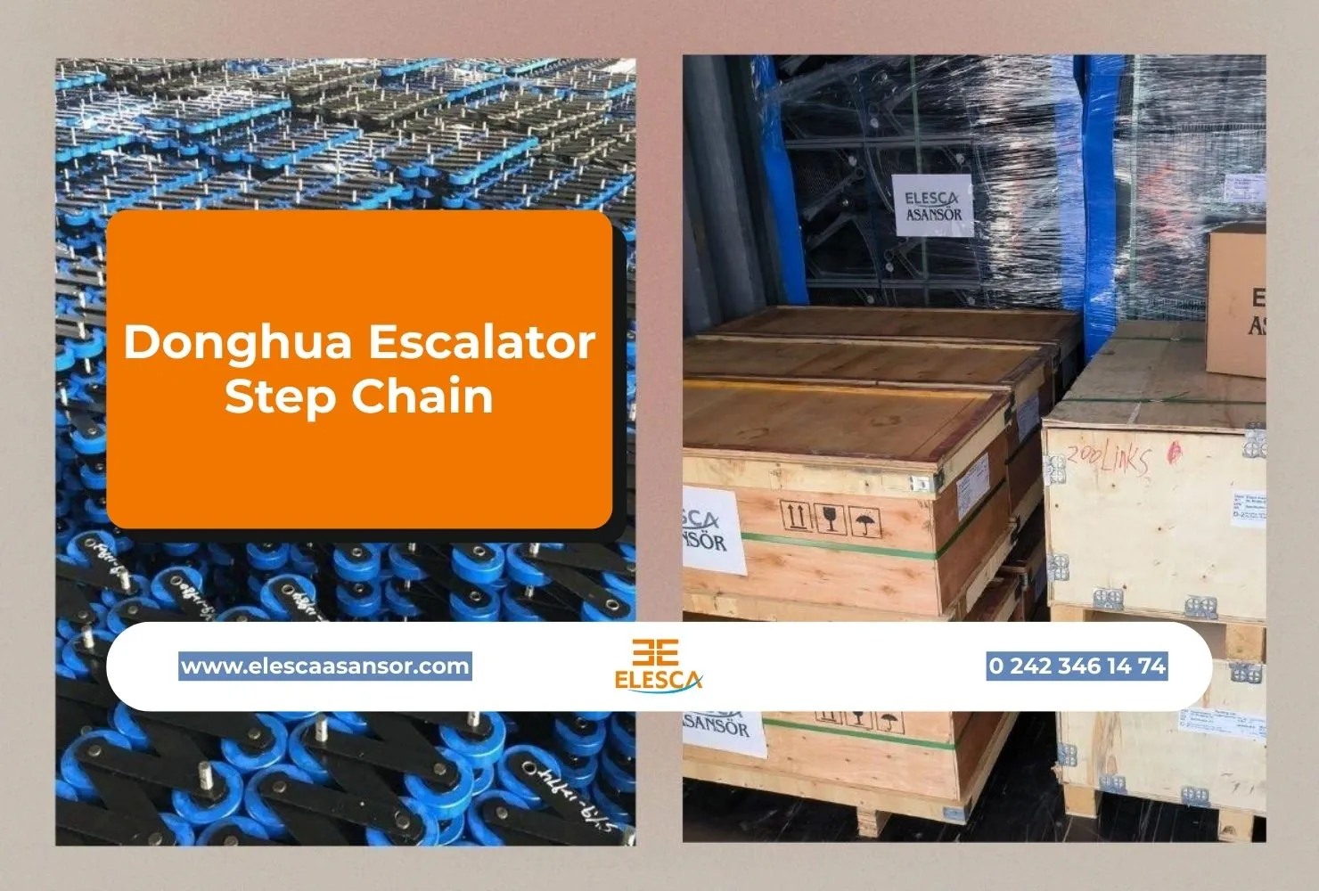 Donghua Escalator Step Chain