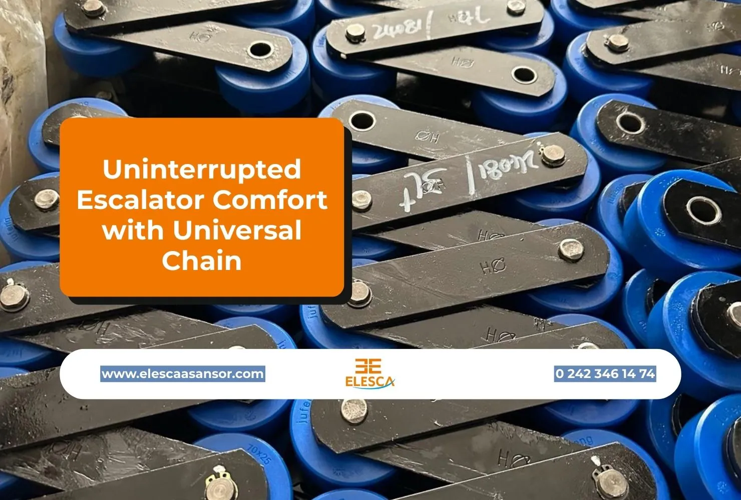 Uninterrupted Escalator Comfort with Universal Chain