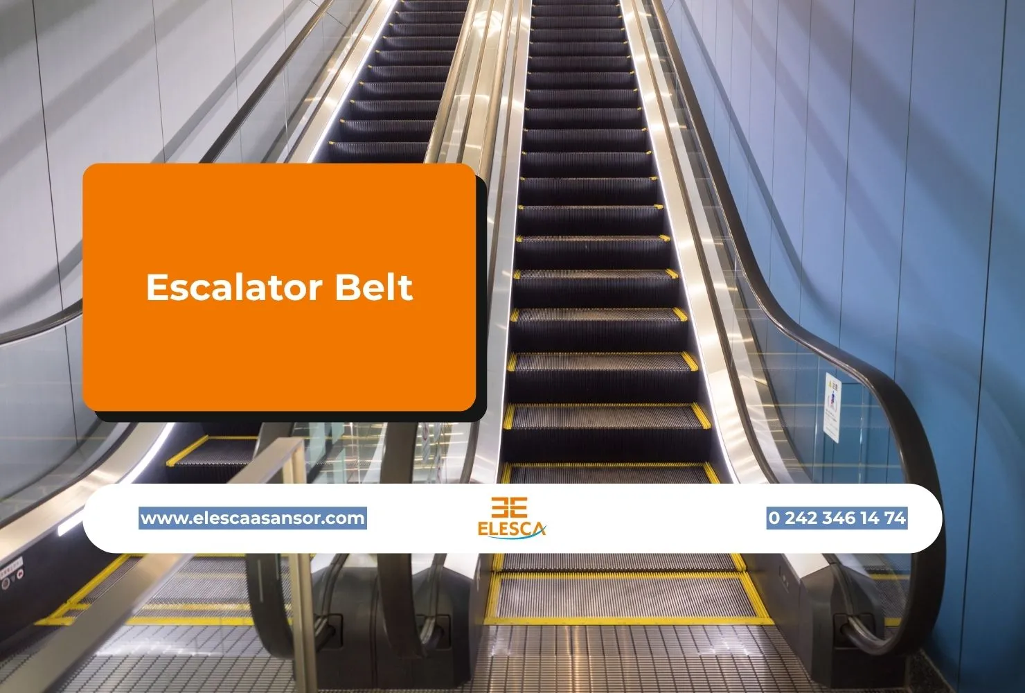Escalator Belt