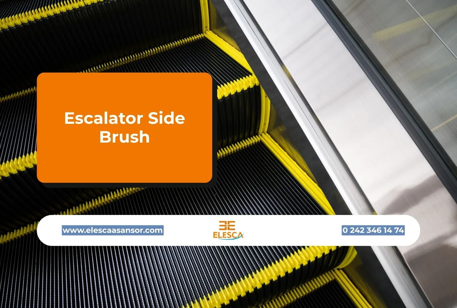 Escalator side brush